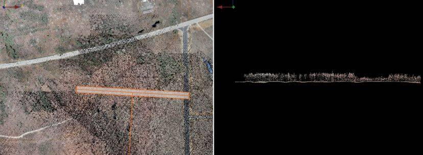 UAV Lidar trees Vegetation penetrated