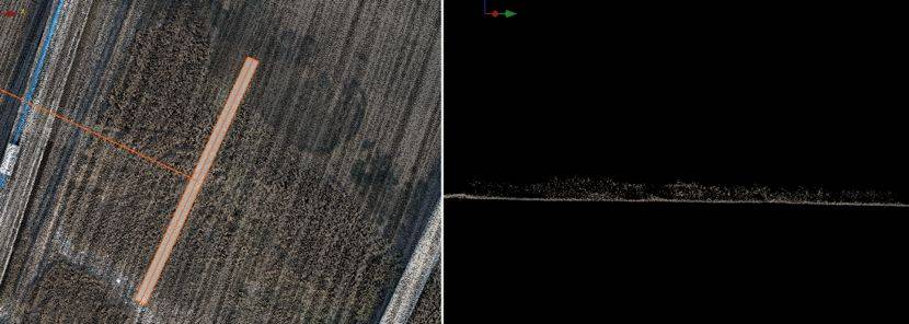 Drone Lidar  Plant Vegetation  penetration 