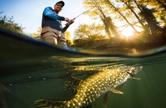 underwater drone for fishing