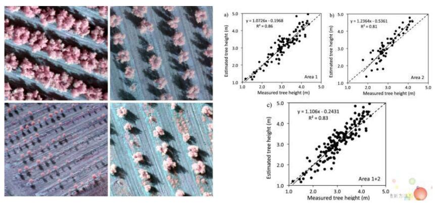 The hyperspectral data of forests